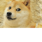 chow_per