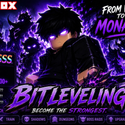 BitLeveling