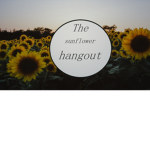 the sunflower hangouts