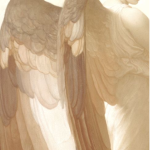 ~children of angels~