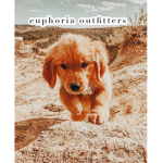 euphoria outfitters!