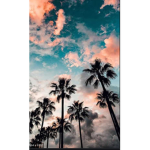 Aesthetic c.r.e.w