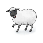 The Sheeps Fan Group!