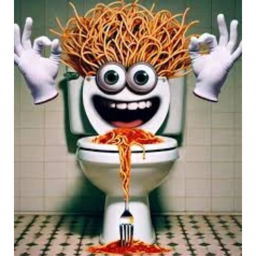 spaghetti tualetti
