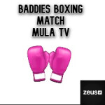 Baddies Boxing Match | Ro-Zeus RP