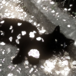 ✿
