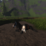 Horse army /amazing