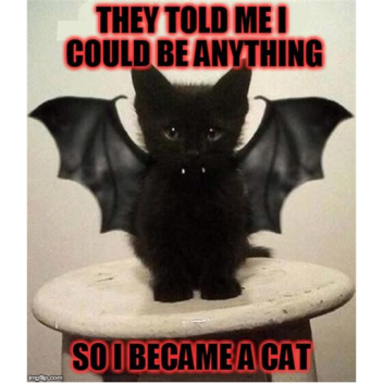 Bear Games (TESTING_GAME)