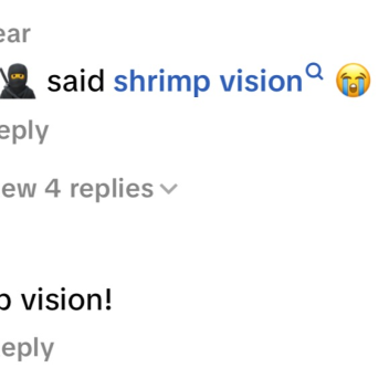 hams definitely well made hidenseek