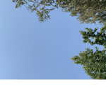 Sky is da Limit