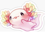 Axolotl/groups