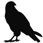 LittleFalcon Games