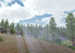 Tree Studios inc.