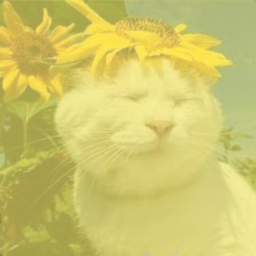𝒻𝓁𝑜𝓌𝑒𝓇𝓈