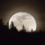 Le Lune Studios