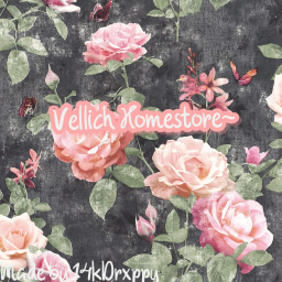 Vellich Homestore~