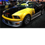 Car Competition and Car shows