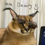 true destiny EA