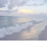 blissful shore