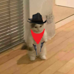 Stahen