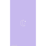 Lavenders flower