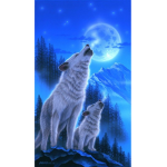 The Wolf Girl (Fan Club!)
