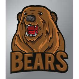 bears game area