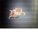 FOXES_UNITE_D