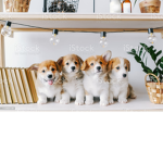 The puppy pals :D