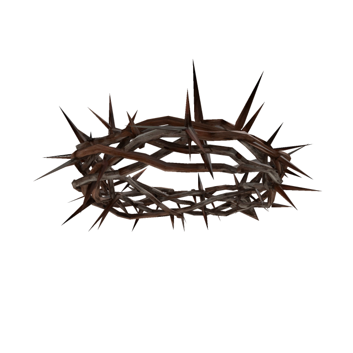 Jesus Crown of Thorns 