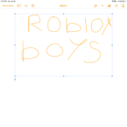 Roblox Arena