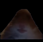 I_love_egg
