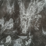 kittyy Catt