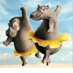 hippo hotel sucks