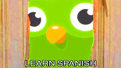 DuoLingo Horror Story 