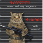 G4NG$