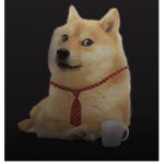 Doge and duck fan club