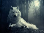 The Wolves Of Green Lake