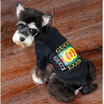 GucciDogs Studio