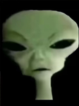 Zib zib ib