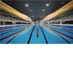 USA swimmers