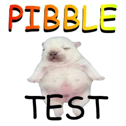Pibble Quiz icon