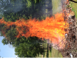 fire!!!!!!!!