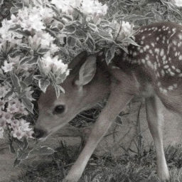♡︎°⊹