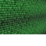 Binary Bugs