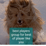 Best pIayers