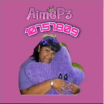 *+.pantuflas store.+*