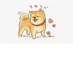 The Dogs;)