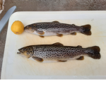 The perfect trout fishing group
