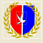 the us air force